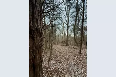 57 +/- Acres Conley Road, Morningview, KY 41063 - Photo 29