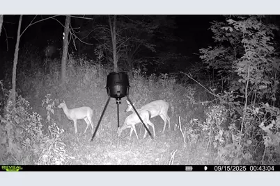 57 +/- Acres Conley Road, Morningview, KY 41063 - Photo 43