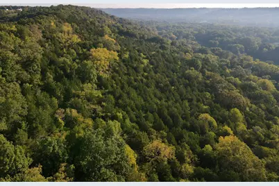 57 +/- Acres Conley Road, Morningview, KY 41063 - Photo 41