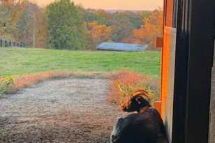 14365 Brown Rd, Verona, KY 41092 - Photo 49