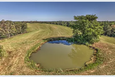 0 Powersville Willow Road, Brooksville, KY 41004 - Photo 19