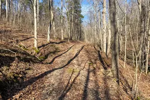 248 Sulphur Lick Rd, Frankfort, KY 40601 - Photo 39