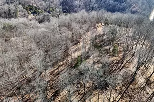 248 Sulphur Lick Rd, Frankfort, KY 40601 - Photo 13