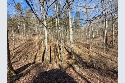 248 Sulphur Lick Road, Frankfort, KY 40601 - Photo 3