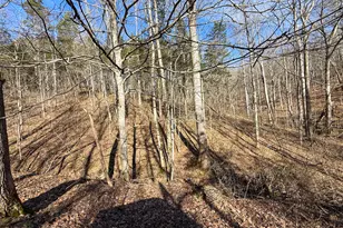 248 Sulphur Lick Rd, Frankfort, KY 40601 - Photo 3