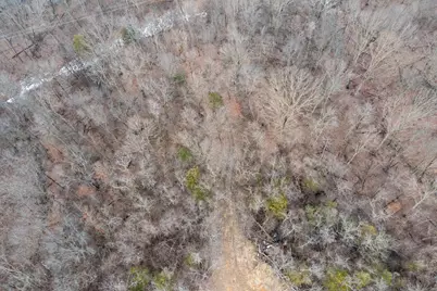 Lot 13 Lawrenceville Road, Williamstown, KY 41097 - Photo 11