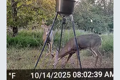 21 James Street, Williamstown, KY 41097 - Photo 35