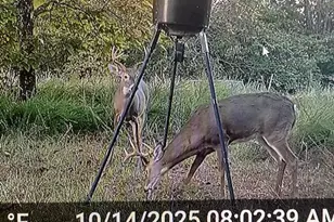 21 James St, Williamstown, KY 41097 - Photo 35