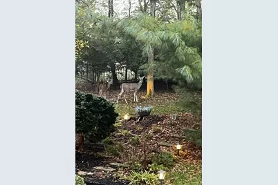 10653 Chenery Cove, Union, KY 41091 - Photo 7