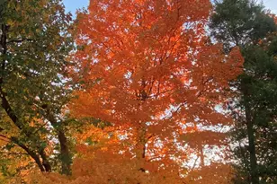 10282 Hempsteade Dr, Union, KY 41091 - Photo 49