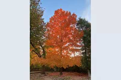 10282 Hempsteade Drive, Union, KY 41091 - Photo 49