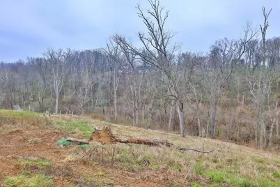 41 Floral Avenue, Fort Mitchell, KY 41017 - Photo 5