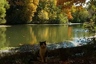 38 Waterside Way, Covington, KY 41017 - Photo 37