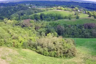 Tract 1 Delaney Rd, Corinth, KY 41010 - Photo 1