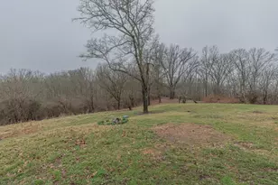 4825 Whites Rd, Ryland Heights, KY 41015 - Photo 13