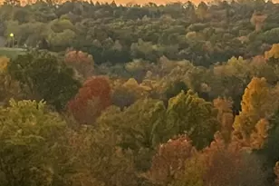 9031 E Main St, Alexandria, KY 41001 - Photo 33