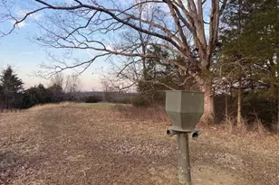 1815 Cedar Creek Rd, Mount Olivet, KY 41064 - Photo 7