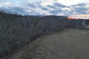 1815 Cedar Creek Rd, Mount Olivet, KY 41064 - Photo 31