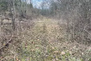 1815 Cedar Creek Rd, Mount Olivet, KY 41064 - Photo 21