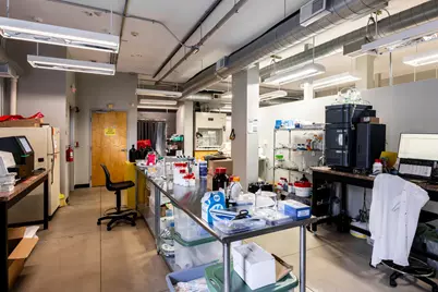 632 Russell Street, Covington, KY 41011 - Photo 13