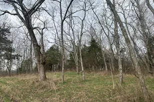 6 Lot New Zion Rd, Falmouth, KY 41040 - Photo 1