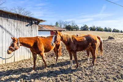 6116 Highway 17, Demossville, KY 41033 - Photo 3