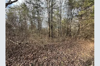 2501 Crittenden Mount Zion Road, Dry Ridge, KY 41035 - Photo 7