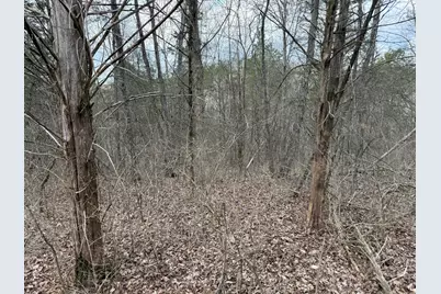 2501 Crittenden Mount Zion Road, Dry Ridge, KY 41035 - Photo 11