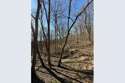 4695 Rabbit Hash Road, Union, KY 41091 - Photo 41