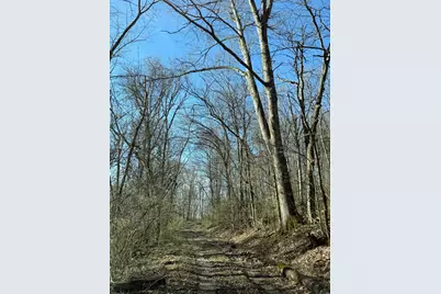 4695 Rabbit Hash Road, Union, KY 41091 - Photo 7