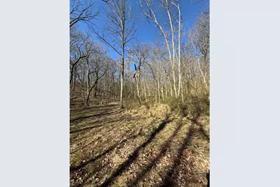 4695 Rabbit Hash Road, Union, KY 41091 - Photo 43