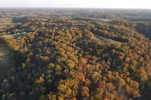 530 Rankin Mill Rd, Falmouth, KY 41040 - Photo 1