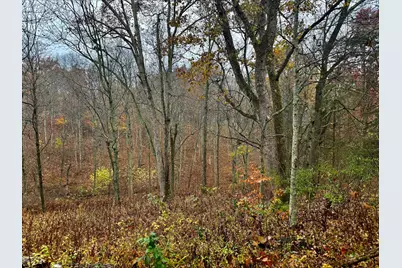 530 Rankin Mill Road, Falmouth, KY 41040 - Photo 9