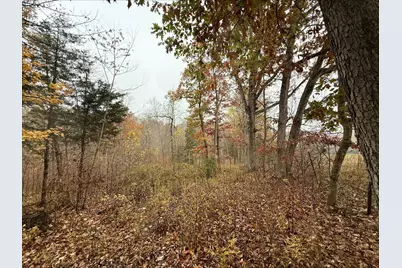 530 Rankin Mill Road, Falmouth, KY 41040 - Photo 43