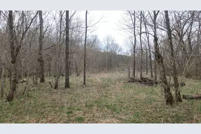 1205 Turner Road, Williamstown, KY 41097 - Photo 19