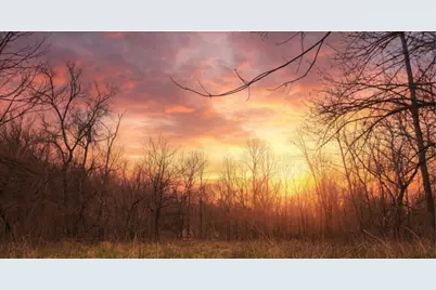 1205 Turner Road, Williamstown, KY 41097 - Photo 5