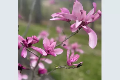 851 Birch Creek Drive, Alexandria, KY 41001 - Photo 9