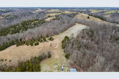 000 Hogg Ridge Road, Williamstown, KY 41097 - Photo 3
