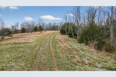 000 Hogg Ridge Road, Williamstown, KY 41097 - Photo 23