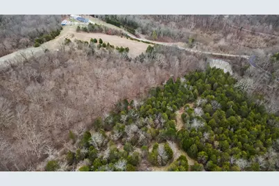 000 Hogg Ridge Road, Williamstown, KY 41097 - Photo 15