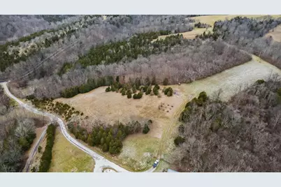 000 Hogg Ridge Road, Williamstown, KY 41097 - Photo 21