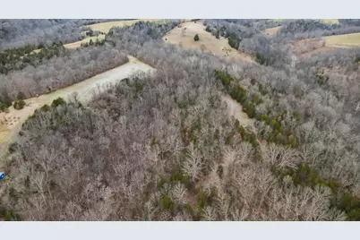 000 Hogg Ridge Road, Williamstown, KY 41097 - Photo 7