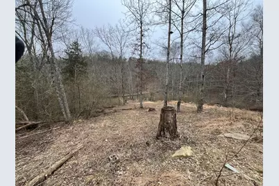 3105 Lots 245-249 Road, Owenton, KY 40359 - Photo 49