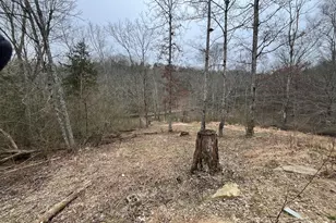 3105 Lots 245-249 Rd, Owenton, KY 40359 - Photo 49