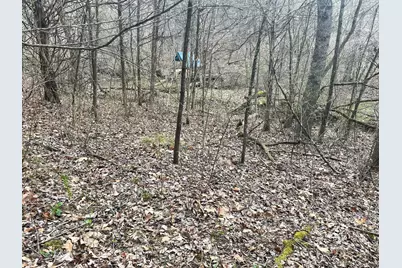 465 Old Monterey Road, Owenton, KY 40359 - Photo 33