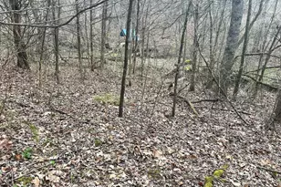 465 Old Monterey Rd, Owenton, KY 40359 - Photo 33