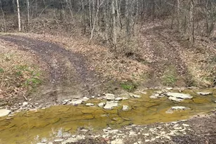 465 Old Monterey Rd, Owenton, KY 40359 - Photo 29