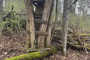 465 Old Monterey Rd, Owenton, KY 40359 - Photo 27