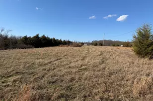 00 Scaggs Dr, Falmouth, KY 41040 - Photo 1