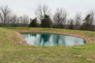 11 5 Ac Osborne Rd, Dry Ridge, KY 41035 - Photo 3